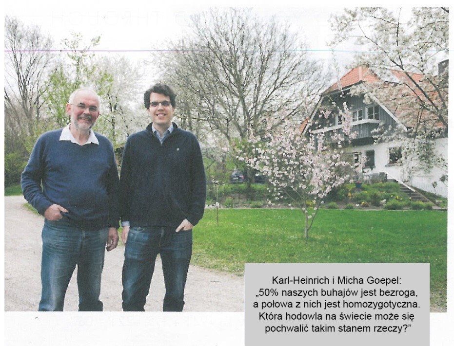 goepel 1